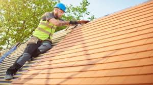 Best Roof Moss and Algae Removal  in Belville, NC